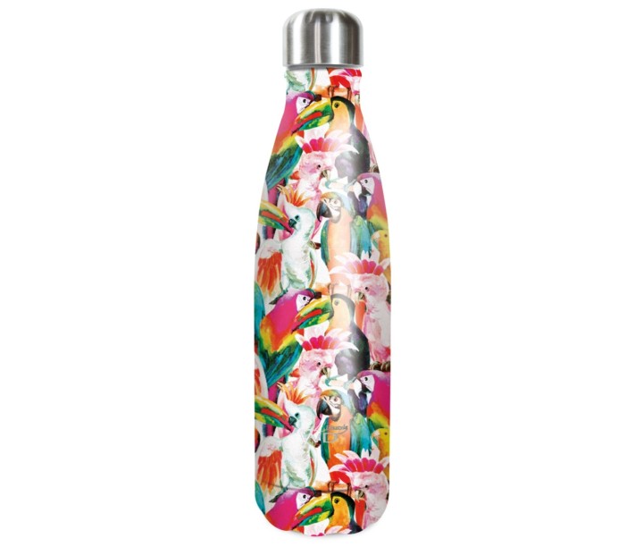 WD LIFESTYLE divkāršu sienu pudele ''Parrots'', 500 ml  | 1